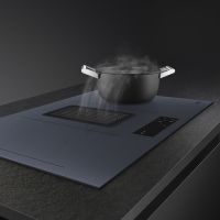 Индукционная варочная панель со встроенной вытяжкой HOBD182DG
